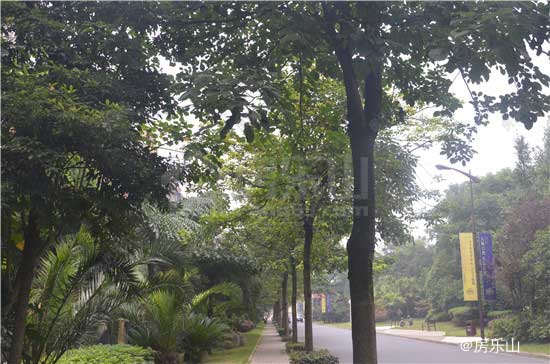 西岸第一城实景