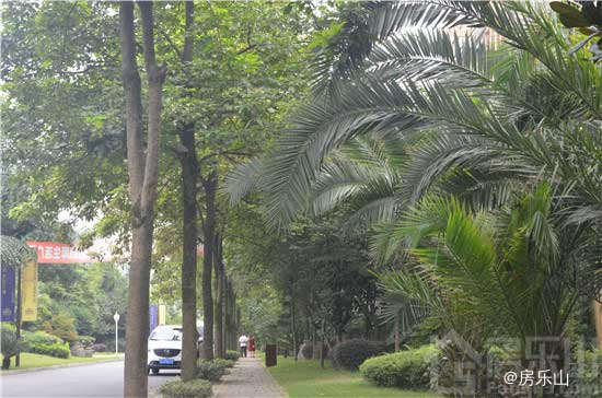 西岸第一城实景