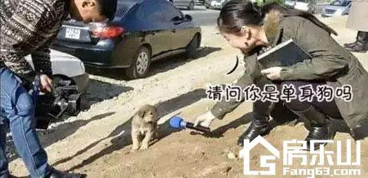 没有恋爱就没有伤害，这里是七夕单身狗生存指南