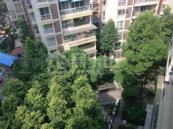 乐山二手房特辑:【新广场】白燕路附近 优选精装大三房 111330001ecdd79f5f6090.jpg
