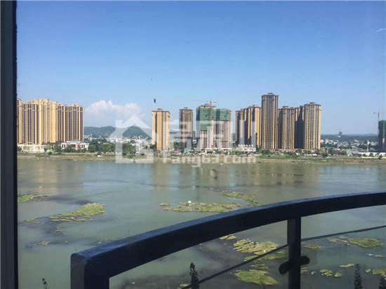 图片1.jpg
