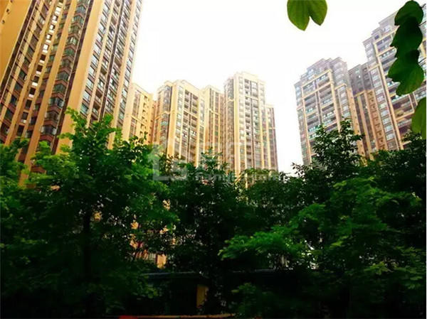 QQ截图20161003174833.jpg