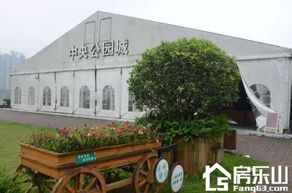 情暖重阳节，关爱在社区食堂。