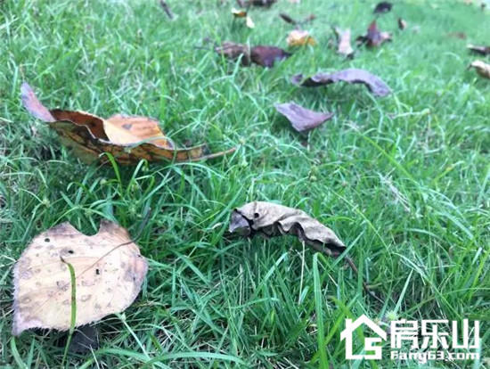 秋天的滟澜洲,是不是和你有着一样的情绪 图片10.jpg
