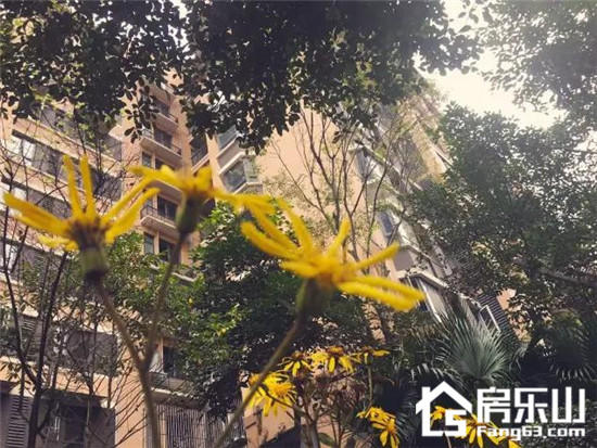 秋天的滟澜洲,是不是和你有着一样的情绪 图片11.jpg