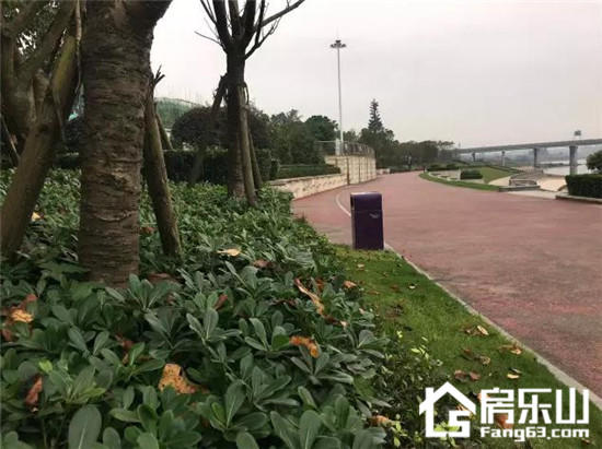 秋天的滟澜洲,是不是和你有着一样的情绪 图片15.jpg