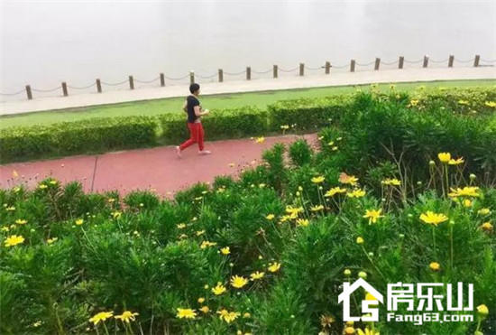 图片11.jpg