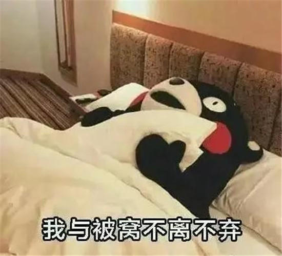 凤凰国际【感恩有礼】暖冬行动!周末定房抽家电!送毛毯!