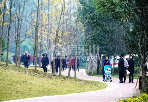 QQ截图20161129152423.jpg
