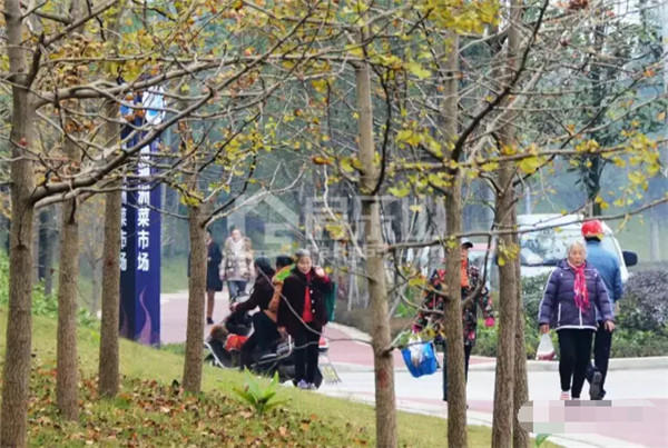 QQ截图20161129152445.jpg