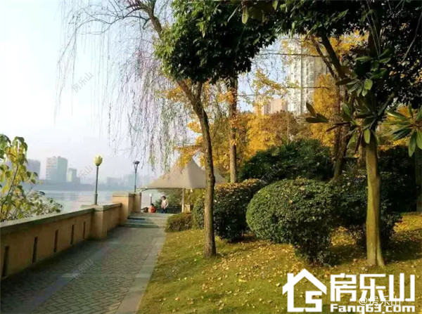 QQ截图20161213174532.jpg