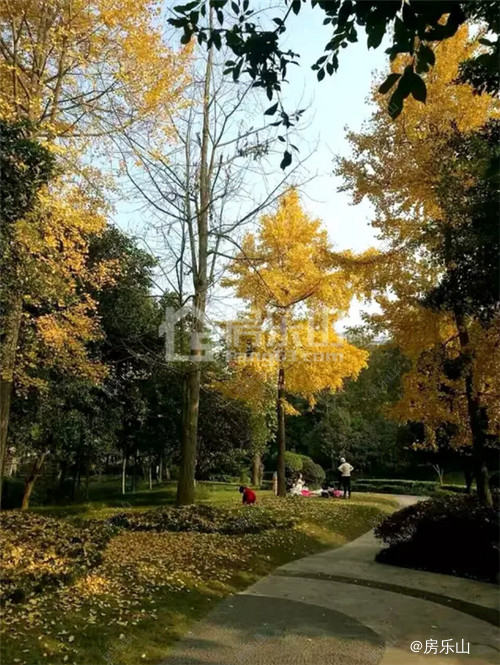 QQ截图20161213174554.jpg