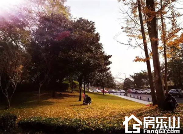 QQ截图20161213174614.jpg