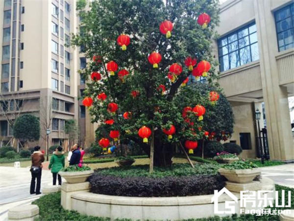 图片8.jpg