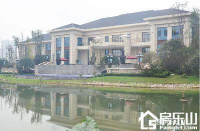 乐山青江新区新楼盘大比较 品质楼盘任你挑