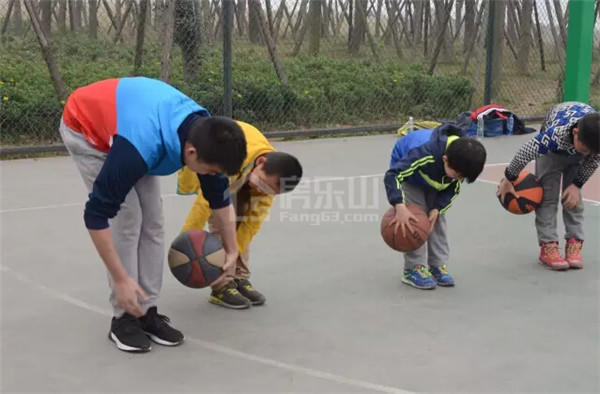 2010282712c437b3d40773.jpg QQ截图20170120101705.jpg