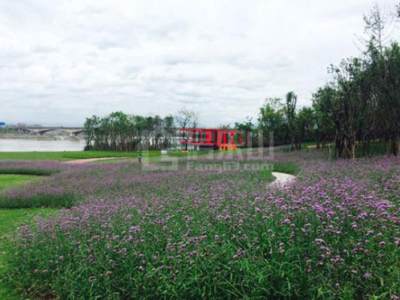 临江好环境与便利的交通 买房该如何选择