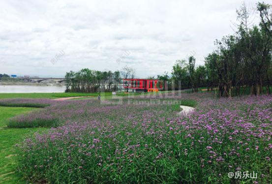 临江好环境与便利的交通 买房该如何选择