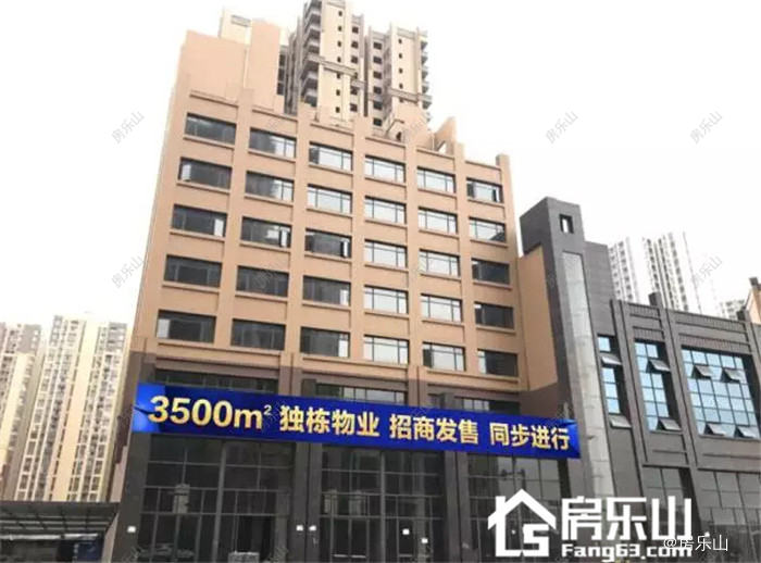 华泰梧桐公馆实景图
