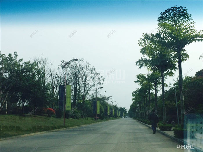 西岸第一城实景图