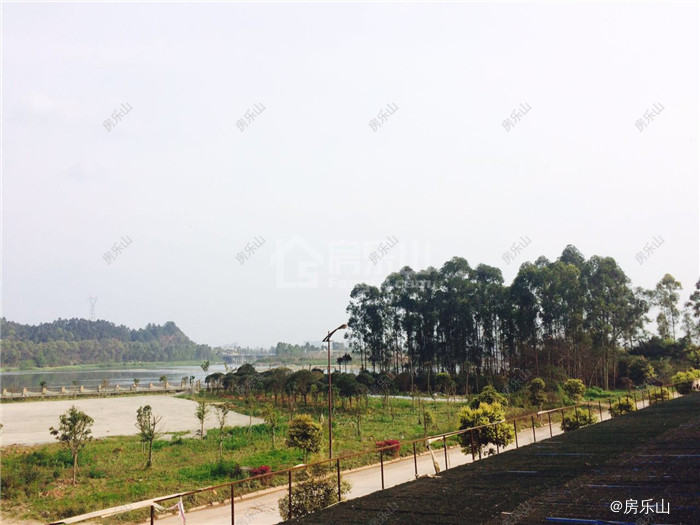 西岸第一城实景图