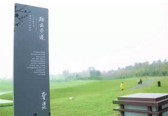 七届九宾湿地健康跑 | 见证家门口的专业级跑道 15.jpg
