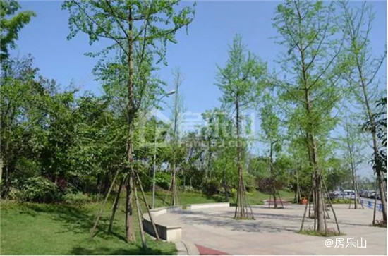 图片2.jpg