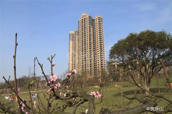 QQ截图20170428091722.jpg