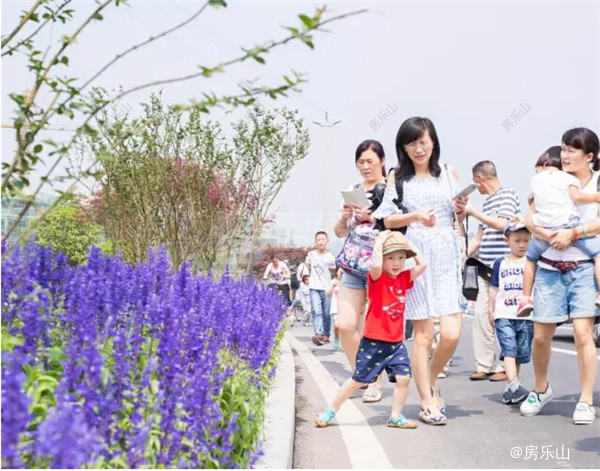 QQ截图20170429133738.jpg