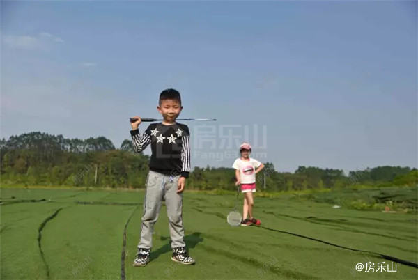 QQ截图20170430162732.jpg
