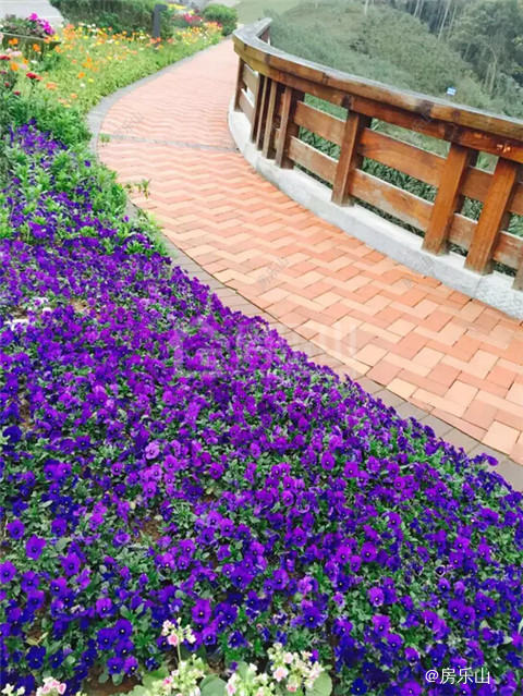QQ截图20170503133856.jpg