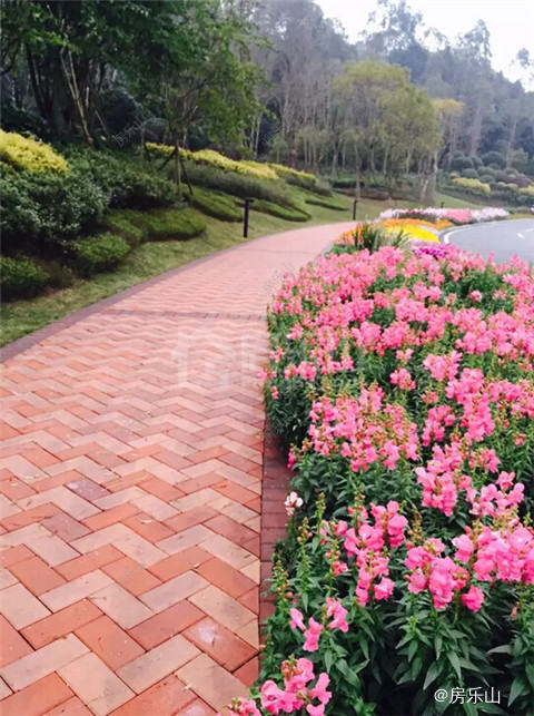 QQ截图20170503133916.jpg