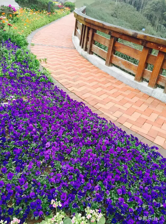 QQ截图20170504162117.jpg