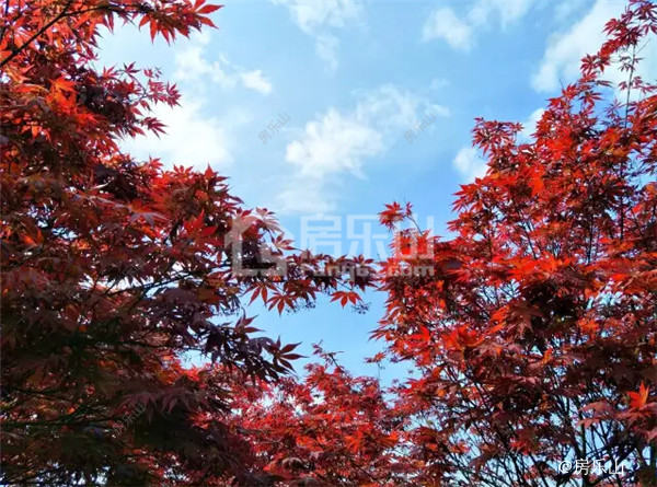 QQ截图20170507153142.jpg