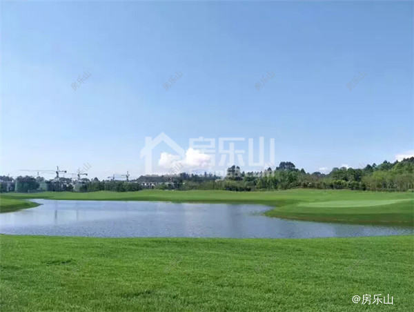 QQ截图20170507153155.jpg