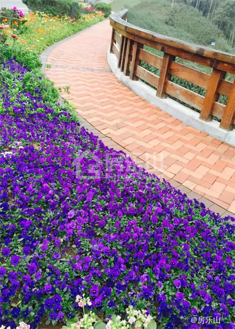 QQ截图20170507153211.jpg