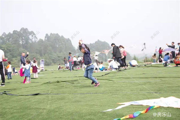 QQ截图20170508140442.jpg