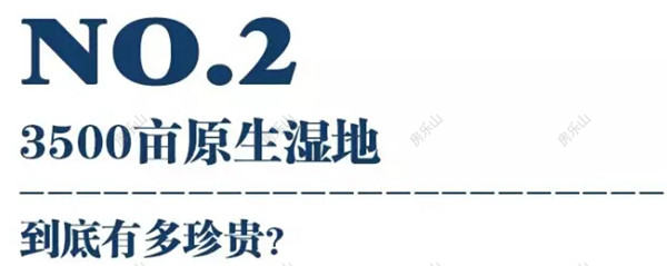 QQ截图20170509141613.jpg