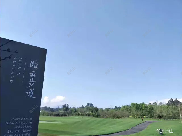 QQ截图20170511173554.jpg