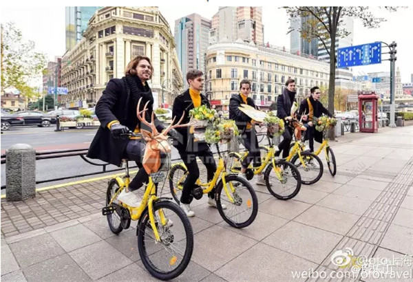 QQ截图20170516095700.jpg