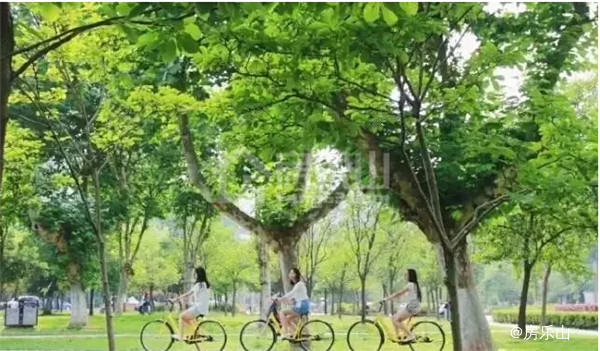 QQ截图20170516095714.jpg