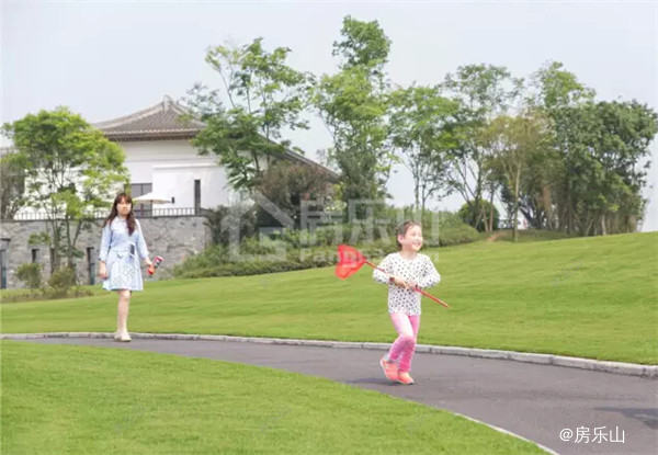 QQ截图20170530092559.jpg