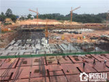 森林城实景图