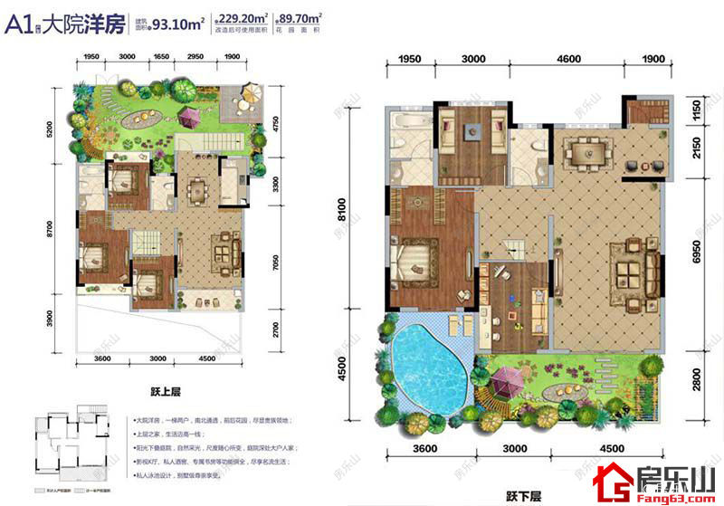 鸿通凤凰国际A1