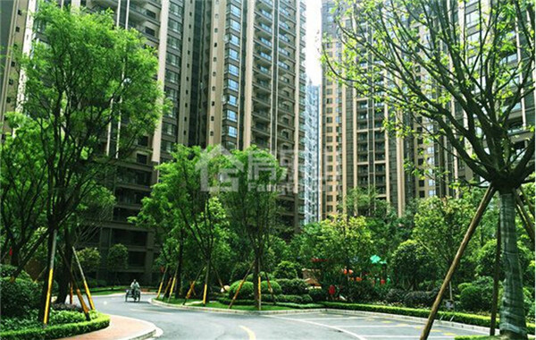 乐山翡翠国际君悦湾生活环境大公开中庭景观美出新高度