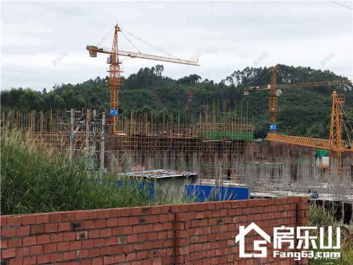 森林城实景图