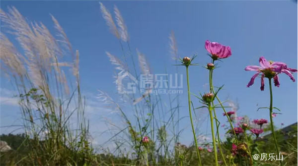 QQ截图20170913091928.jpg