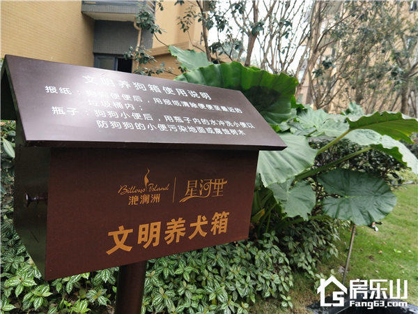 06172157cfb391558a0531.jpg 微信图片_20171106161228.jpg