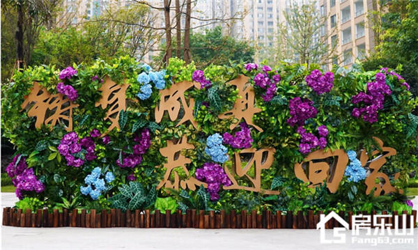 21110524635eebfd846270.jpg QQ截图20171121105746.jpg