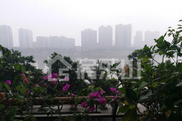 0116143905bcbfecca2315.jpg QQ截图20171201145317.jpg
